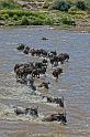 086 Tanzania, N-Serengeti, migratie van de gnoes